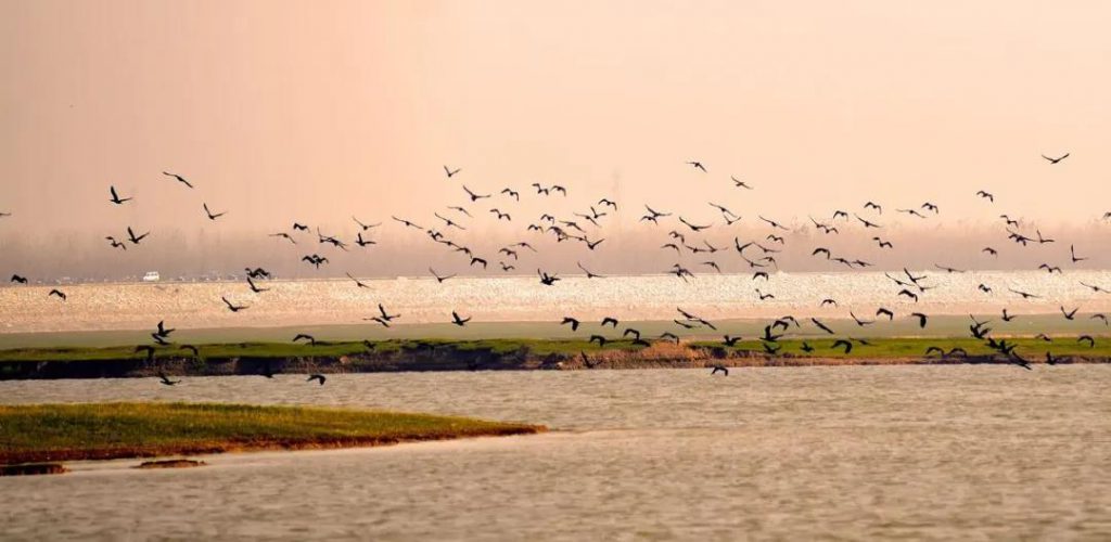 湖南849個鄉(xiāng)鎮(zhèn)要建成污水處理設施,總投資達268億- 湖南849個鄉(xiāng)鎮(zhèn)要建成污水處理設施,總投資達268億-