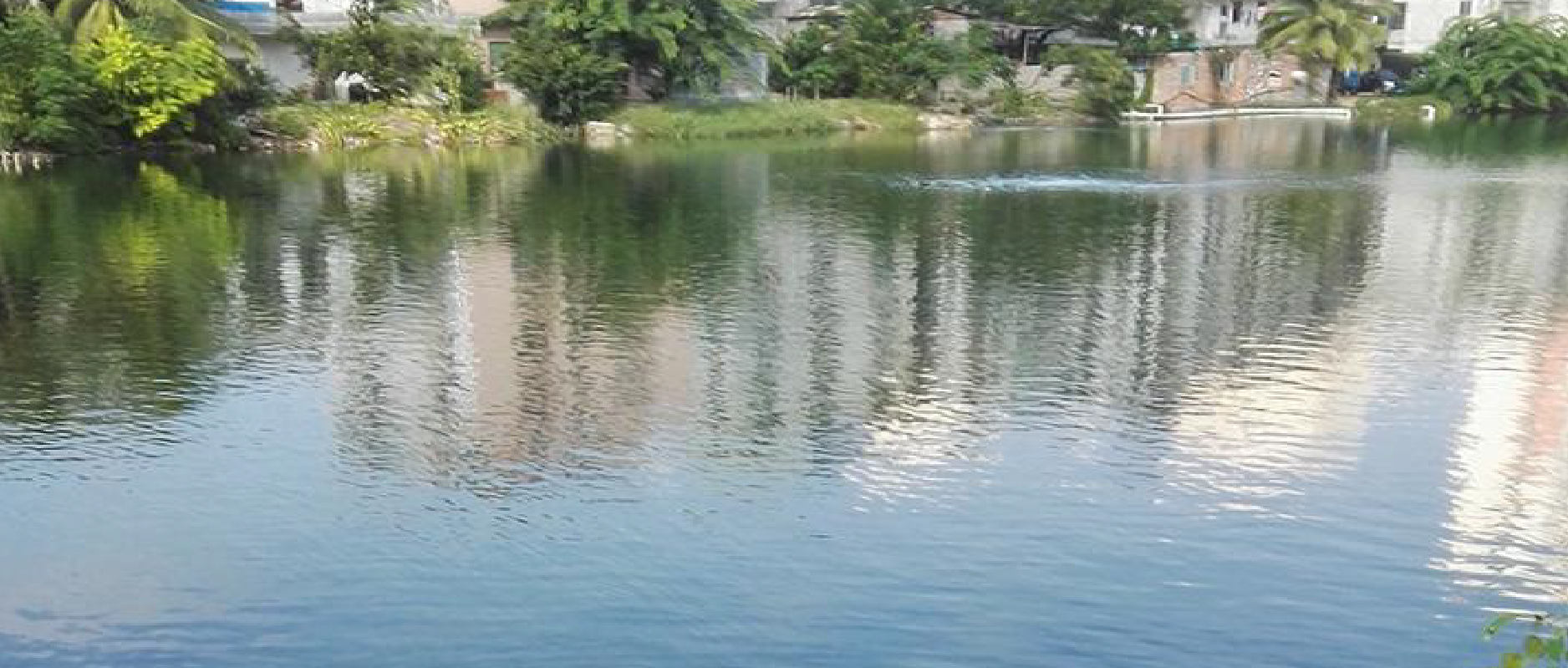 2023黑臭水體整治新動(dòng)作不斷！問(wèn)題到底怎么破？