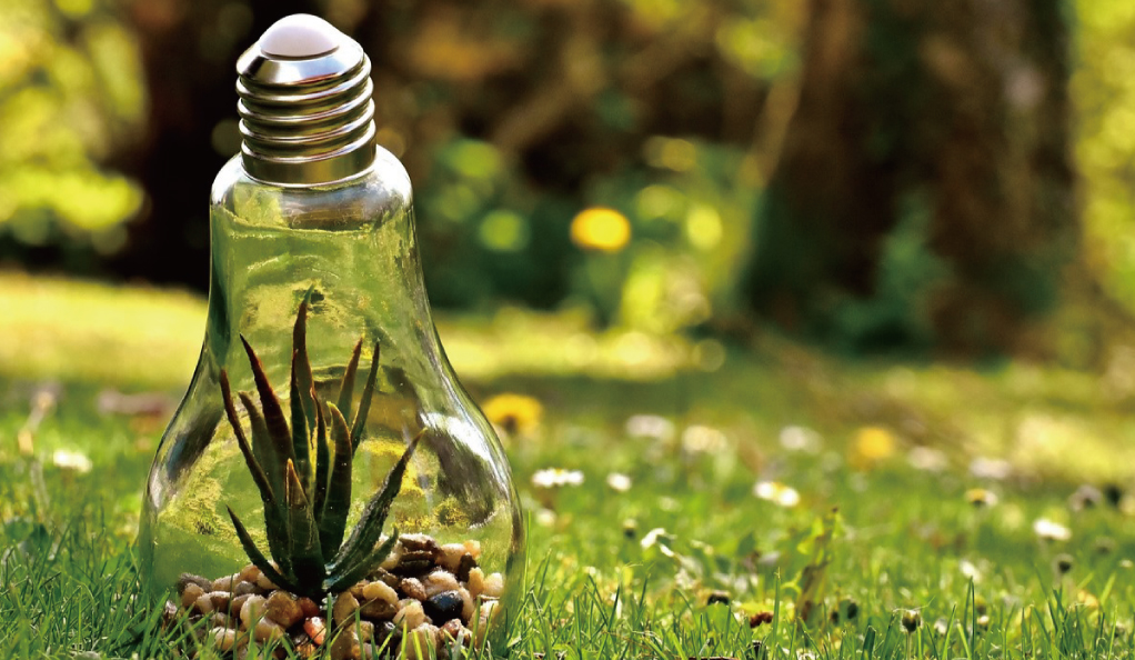 中央生態環境保護督察通報江蘇典型案例：部分水體返臭返黑