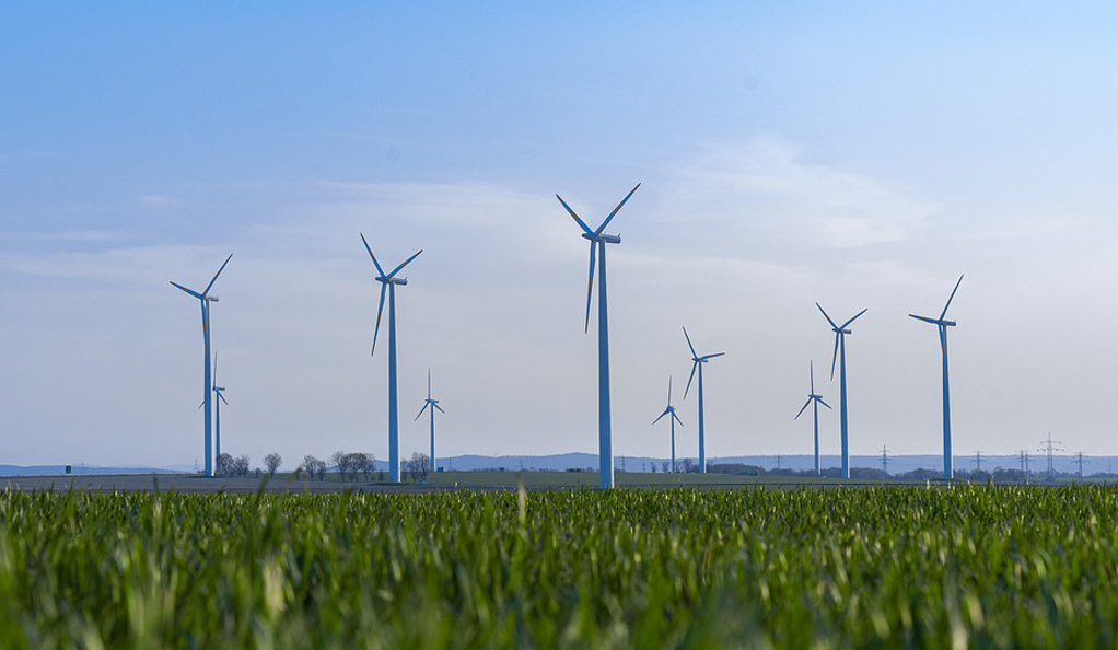 “借船出海”！中節(jié)能?chē)?guó)禎用“技術(shù)+運(yùn)營(yíng)”打造核心優(yōu)勢(shì)